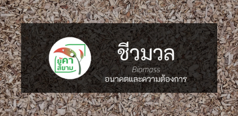 ชีวมวล (Biomass) และอนาคตข้างหน้า