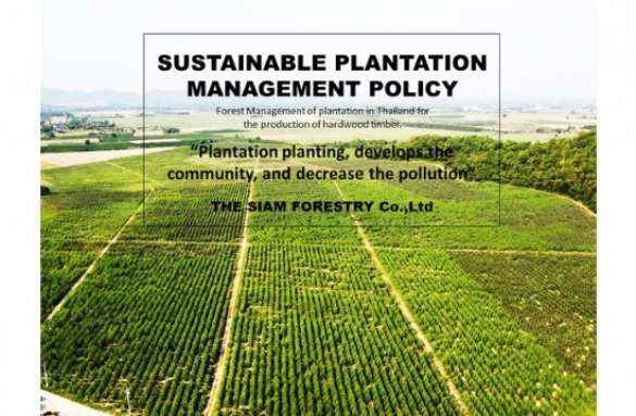  MANAGEMENT REVIEW REPORT 2023 SGSCH-FM/COC-008662 รายงานประจำปี 2566 การรับรอง การจัดการสวนป่ายั่งยืน แบบ กลุ่มย่อย ของบริษัท สยามฟอเรสทรี จำกัด 