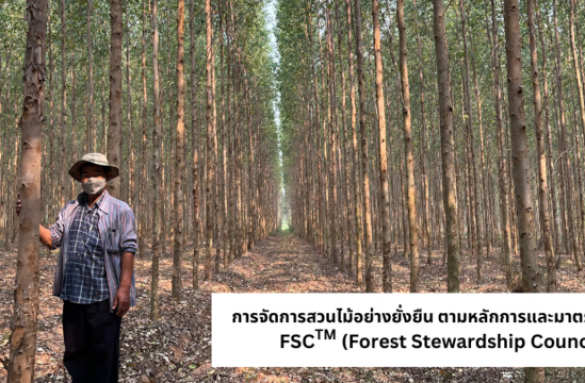  รายงานประจำปี 2565 การรับรอง การจัดการสวนป่าย่ังยืน แบบ กลุ่มย่อย ของบริษัท สยามฟอเรสทรี จำกัด 
