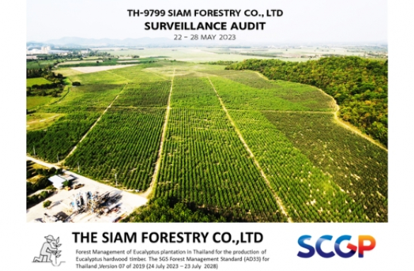  การจัดการสวนป่ายูคาลิปตัสในประเทศไทยเพื่อผลิตไม้ยูคาลิปตัส มาตรฐานการจัดการป่าไม้ SGS (AD33) สำหรับประเทศไทย ฉบับที่ 07 