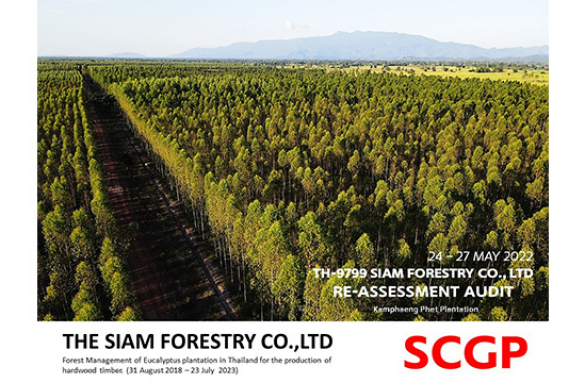  สรุปผลการดำเนินงานตาม แผนงาน ในการตรวจประเมิน การจัดการ สวนป่ายั่งยืน (FSC™) ของบริษัท สยามฟอเรสทรี จํากัด ระหว่าง วันที่  24 -27 พฤษภาคม 2565 