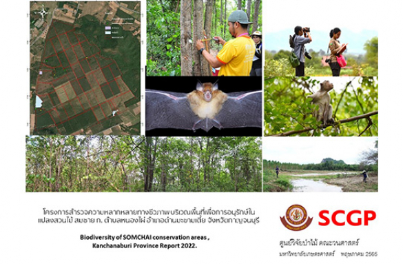  โครงการสำรวจความหลากหลายทางชีวภาพบริเวณพื้นที่เพื่อการอนุรักษ์ในแปลงสวนไม้ สมชาย ก. ตำบลหนองไผ่ อำเภอด่านมะขามเตี้ย จังหวัดกาญจนบุรี 