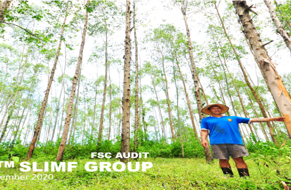  Siam Forestry (12632-TH) 2020 FSC Audit 8-10 September 2020 