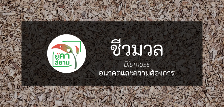 ชีวมวล (Biomass) และอนาคตข้างหน้า