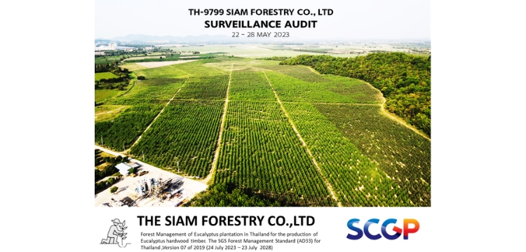 การจัดการสวนป่ายูคาลิปตัสในประเทศไทยเพื่อผลิตไม้ยูคาลิปตัส มาตรฐานการจัดการป่าไม้ SGS (AD33) สำหรับประเทศไทย ฉบับที่ 07