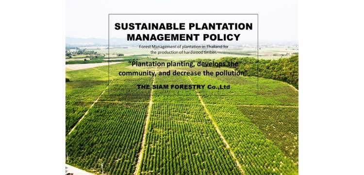 วัตถุประสงค์ และเป้าหมาย การดำเนินการตามระบบจัดการสวนไม้อย่างยั่งยืน (FSC™) The Siam Forestry FSC™ Plantation ประจำปี 2566