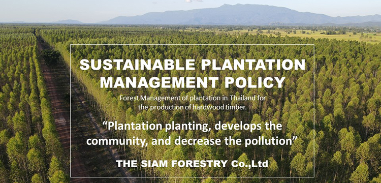ประกาศ แต่งตั้งคณะกรรมการบริหารระบบการจัดการสวนป่ายั่งยืน  2565 (FSC Committee)