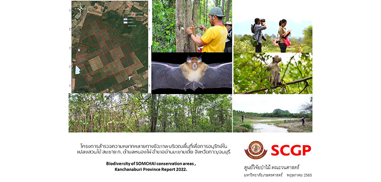 โครงการสำรวจความหลากหลายทางชีวภาพบริเวณพื้นที่เพื่อการอนุรักษ์ในแปลงสวนไม้ สมชาย ก. ตำบลหนองไผ่ อำเภอด่านมะขามเตี้ย จังหวัดกาญจนบุรี