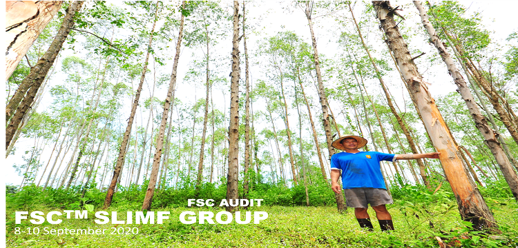 Siam Forestry (12632-TH) 2020 FSC Audit 8-10 September 2020