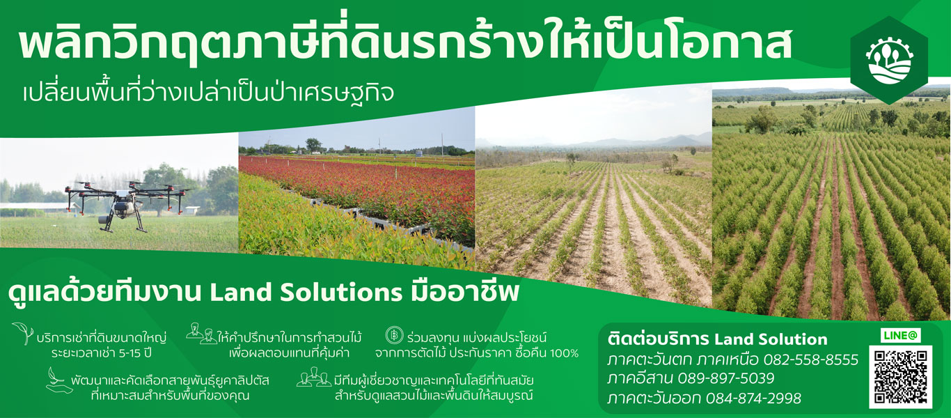 siamforestry,scg,SFT